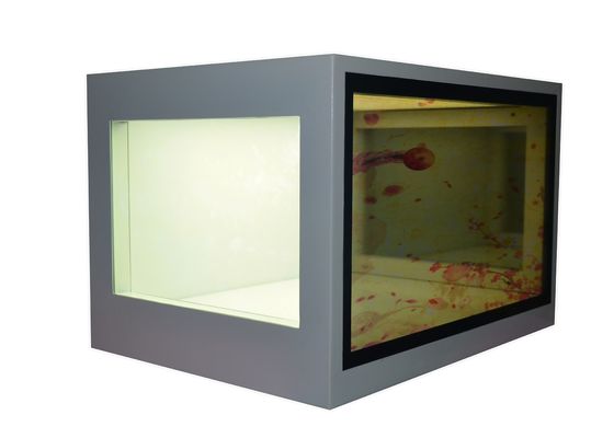 21.5 Inch Transparent LCD Screen Custom Accepted See Through LCD Display supplier